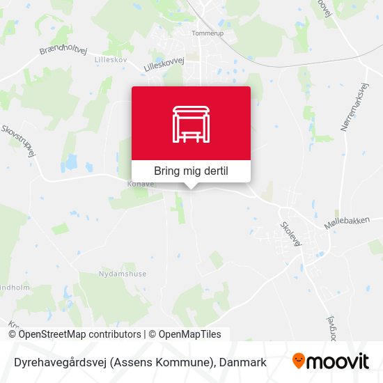 Dyrehavegårdsvej (Assens Kommune) kort