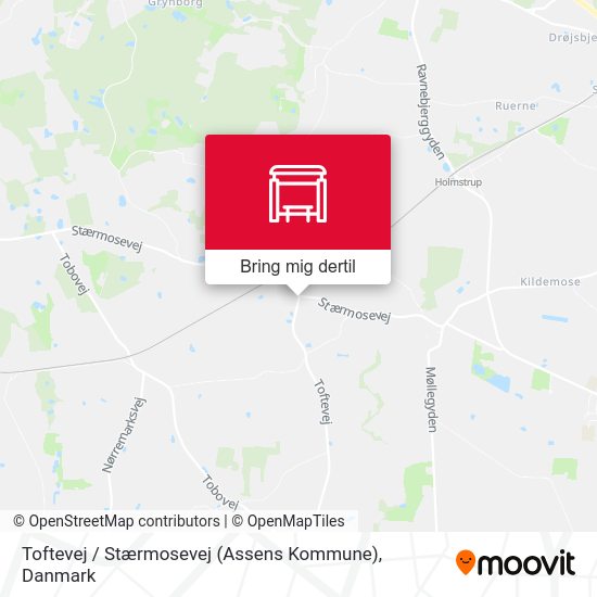 Toftevej / Stærmosevej (Assens Kommune) kort