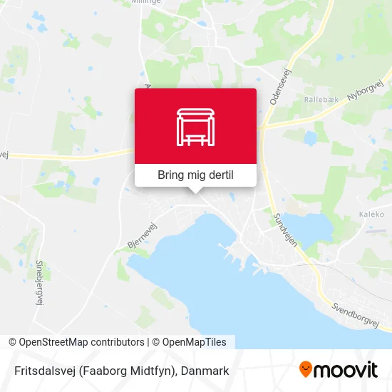 Fritsdalsvej (Faaborg Midtfyn) kort