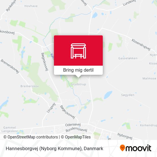 Hannesborgvej (Nyborg Kommune) kort
