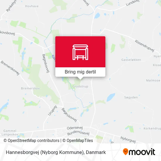 Hannesborgvej (Nyborg Kommune) kort