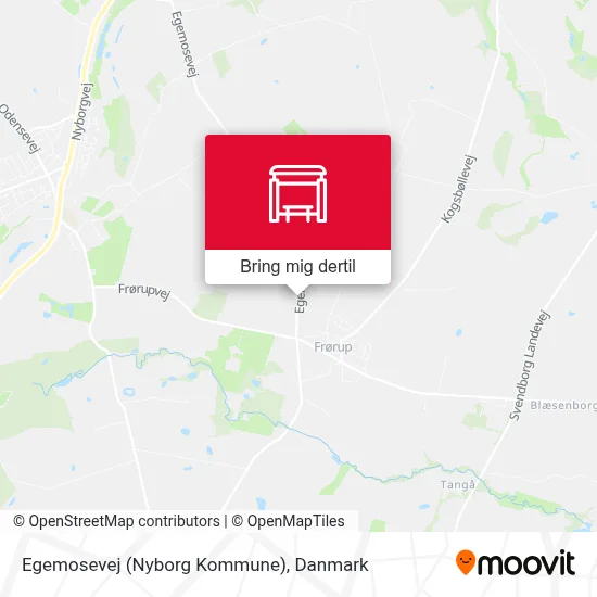 Egemosevej (Nyborg Kommune) kort
