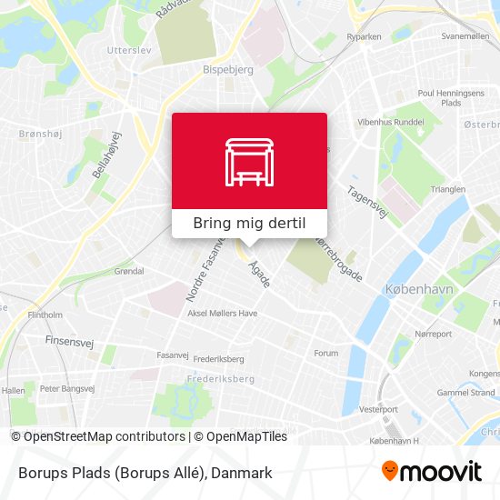 Borups Plads (Borups Allé) kort