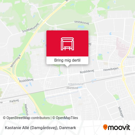 Kastanie Allé (Damgårdsvej) kort