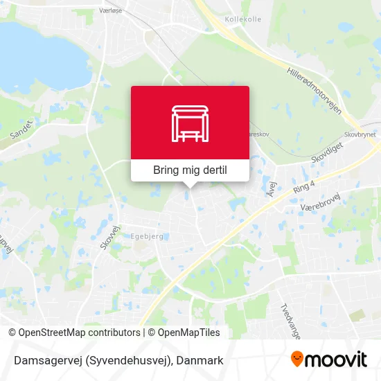 Damsagervej (Syvendehusvej) kort