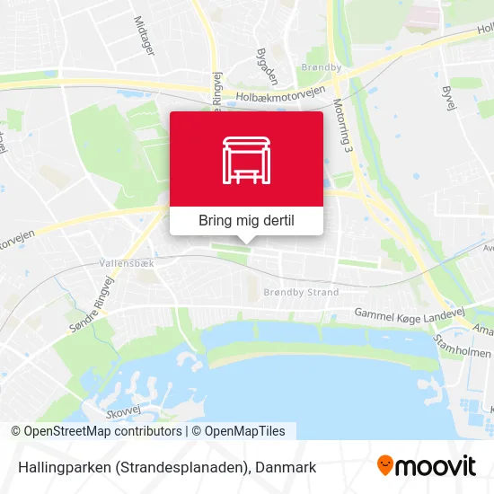 Hallingparken (Strandesplanaden) kort