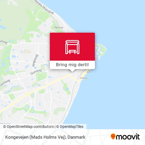 Kongevejen (Mads Holms Vej) kort
