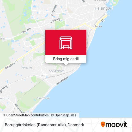 Borupgårdskolen (Rønnebær Alle) kort