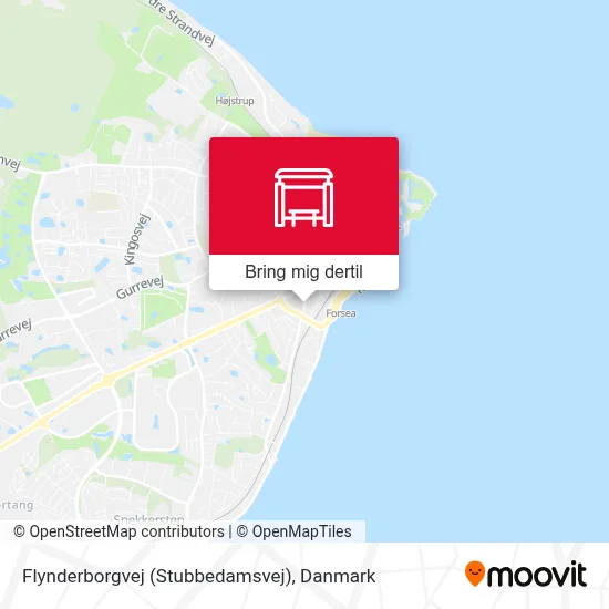 Flynderborgvej (Stubbedamsvej) kort