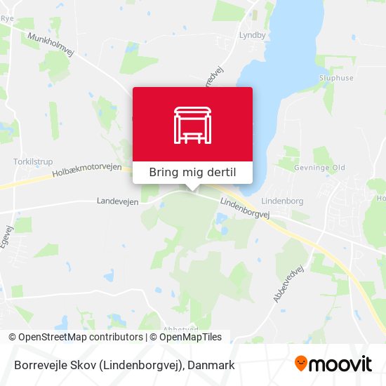 Borrevejle Skov (Lindenborgvej) kort