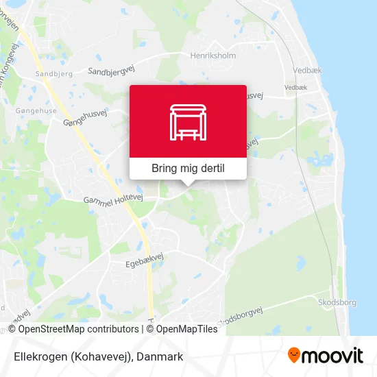 Ellekrogen (Kohavevej) kort