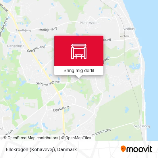 Ellekrogen (Kohavevej) kort