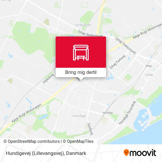 Hundigevej (Lillevangsvej) kort