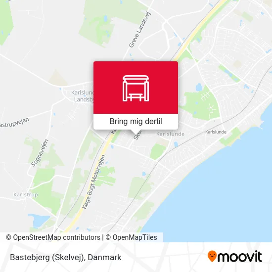 Bastebjerg (Skelvej) kort