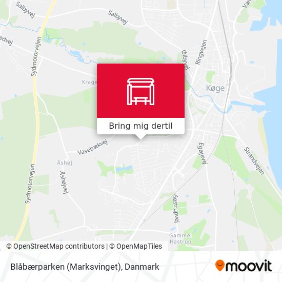 Blåbærparken (Marksvinget) kort