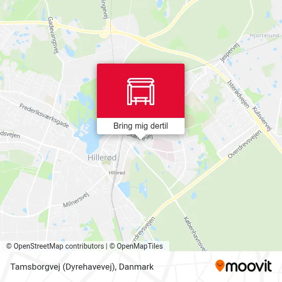 Tamsborgvej (Dyrehavevej) kort