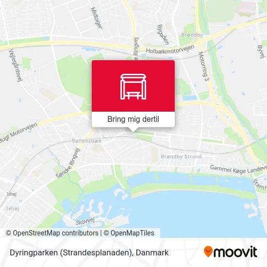 Dyringparken (Strandesplanaden) kort