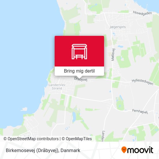 Birkemosevej (Dråbyvej) kort
