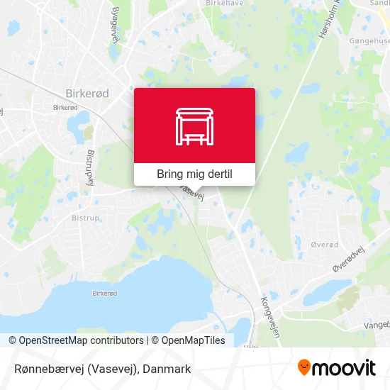 Rønnebærvej (Vasevej) kort
