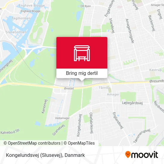 Kongelundsvej (Slusevej) kort