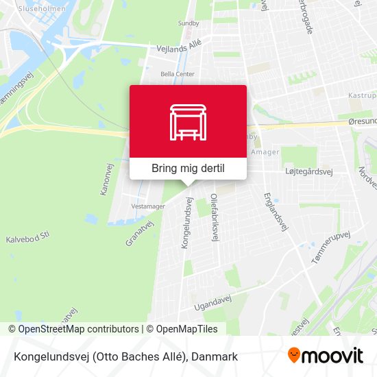 Kongelundsvej (Otto Baches Allé) kort
