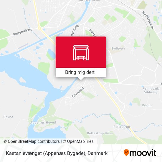 Kastanievænget (Appenæs Bygade) kort