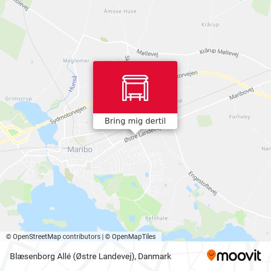 Blæsenborg Allé (Østre Landevej) kort