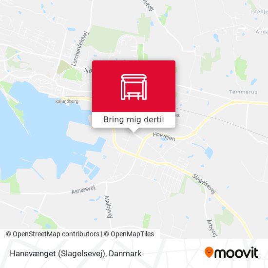 Hanevænget (Slagelsevej) kort