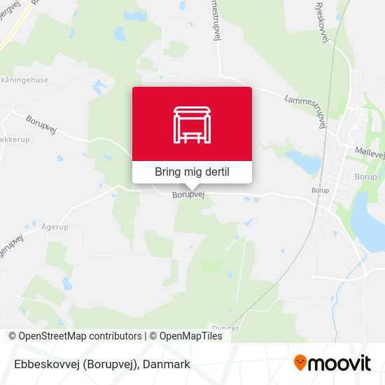 Ebbeskovvej (Borupvej) kort