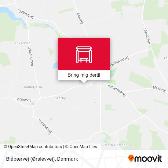 Blåbærvej (Ørslevvej) kort