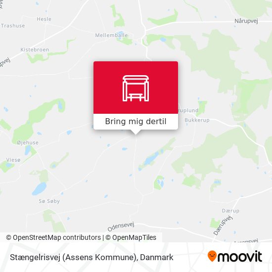 Stængelrisvej (Assens Kommune) kort