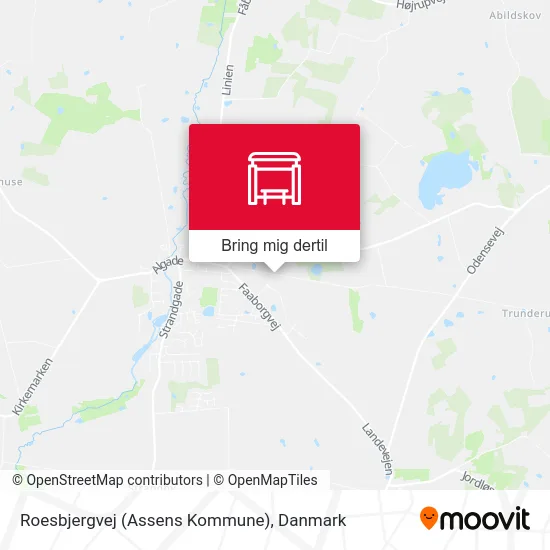 Roesbjergvej (Assens Kommune) kort