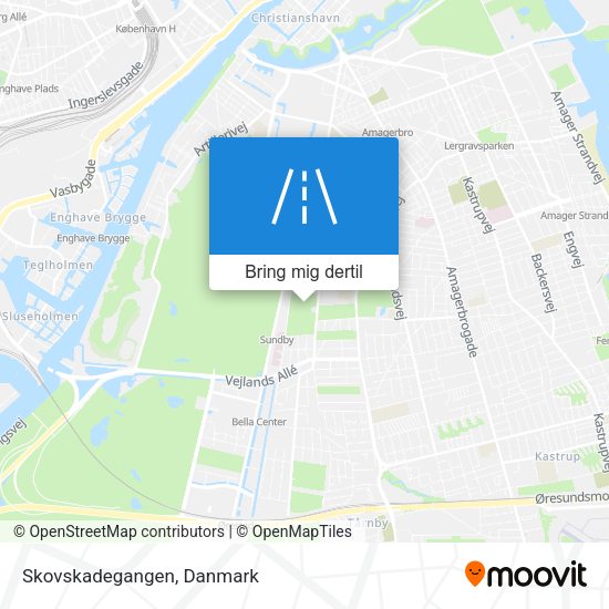 Skovskadegangen kort