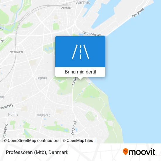 Professoren (Mtb) kort