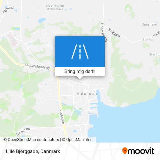 Lille Bjerggade kort
