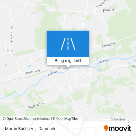 Martin Bachs Vej kort