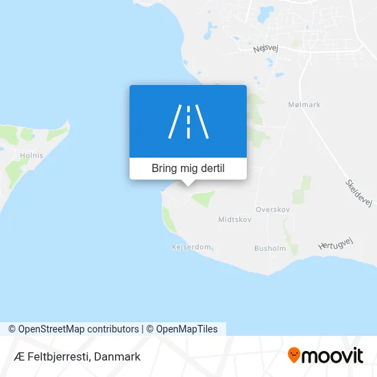 Æ Feltbjerresti kort