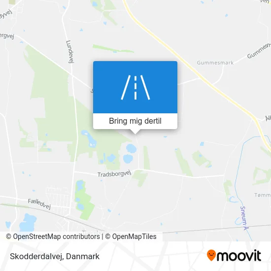 Skodderdalvej kort