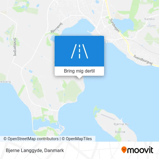 Bjerne Langgyde kort