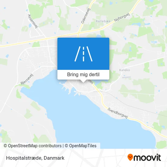 Hospitalstræde kort