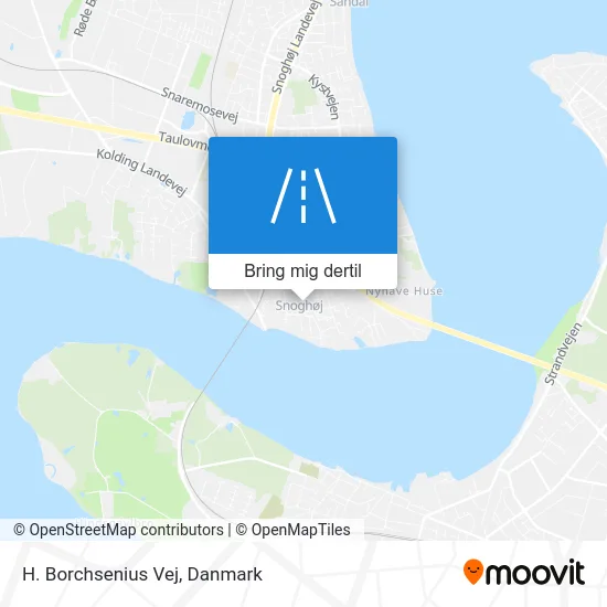 H. Borchsenius Vej kort