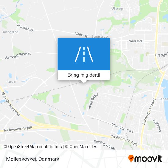 Mølleskovvej kort