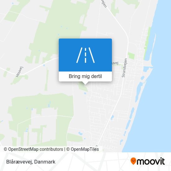 Blårævevej kort