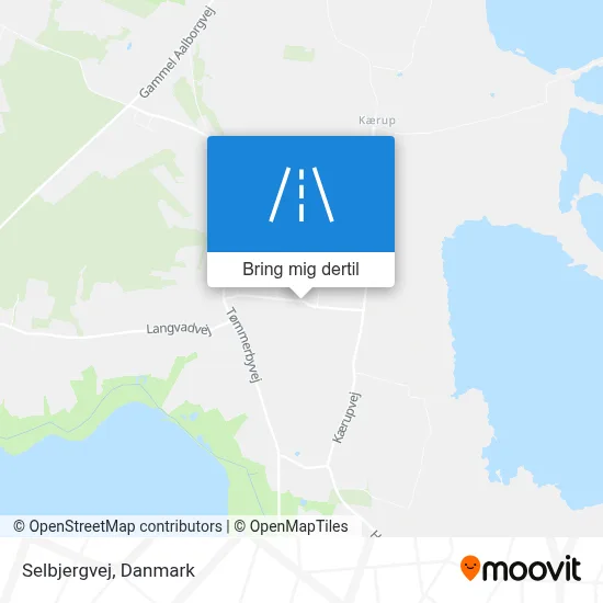 Selbjergvej kort