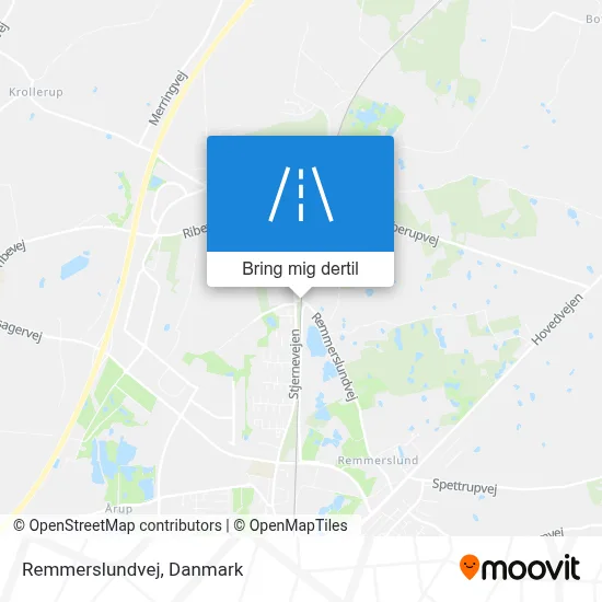 Remmerslundvej kort