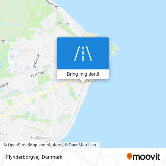 Flynderborgvej kort