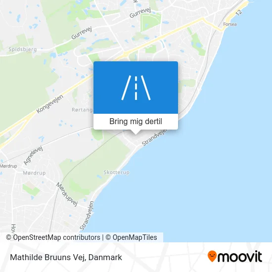 Mathilde Bruuns Vej kort
