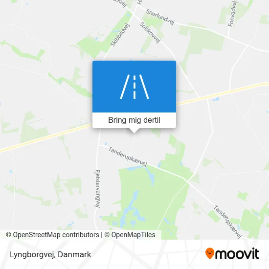Lyngborgvej kort