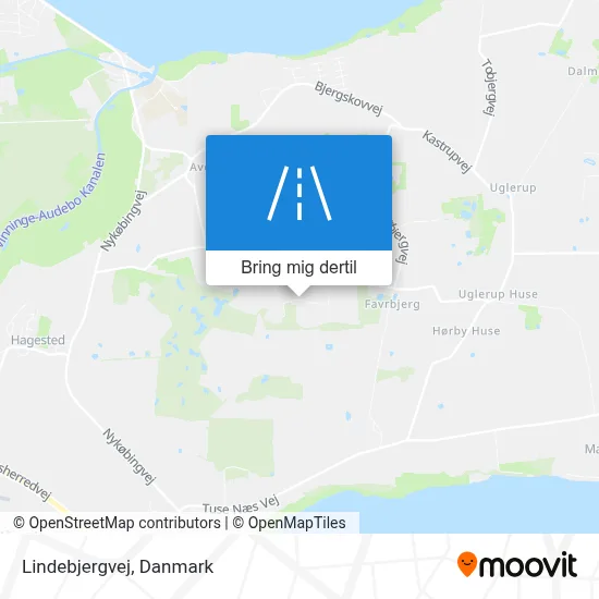 Lindebjergvej kort