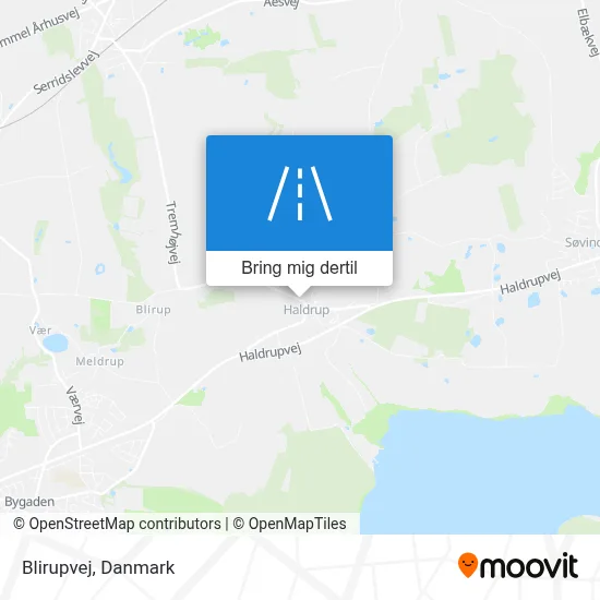 Blirupvej kort